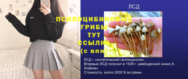 крисы Балахна