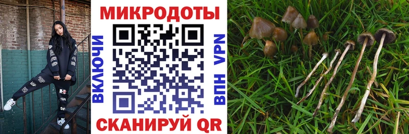 Галлюциногенные грибы мухоморы  продажа наркотиков  Хилок 